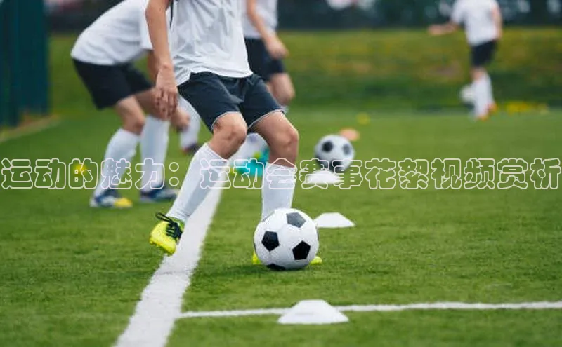 j9九游会-真人游戏第一品牌