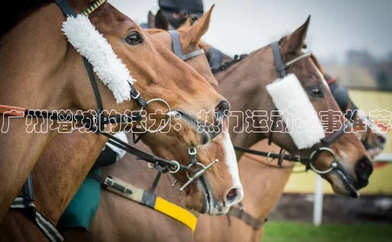 j9九游会真人第一品牌