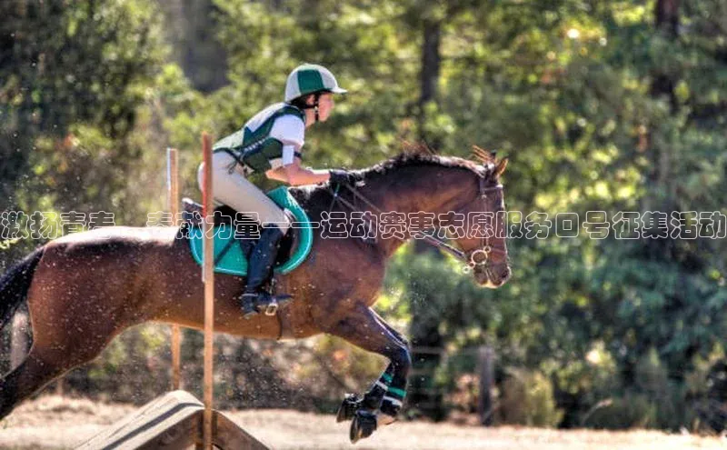 j9九游会真人第一品牌