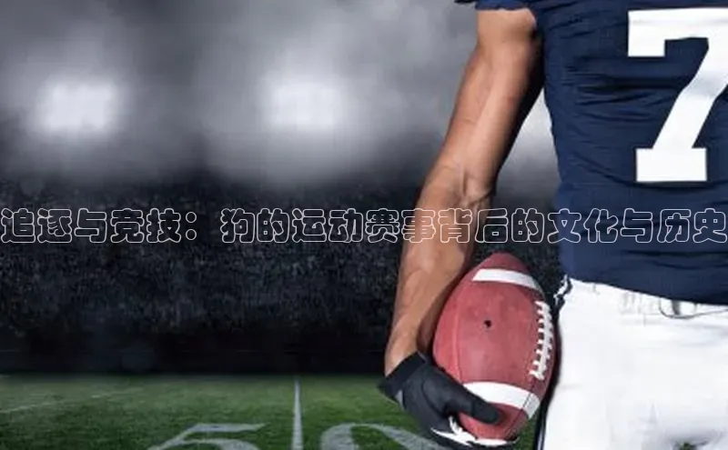 追逐与竞技：狗的运动赛事背后的文化与历史