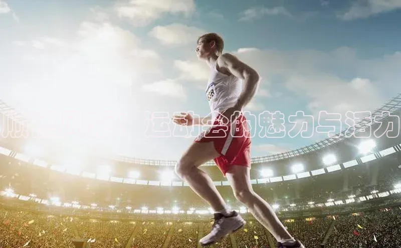 顺德风采：运动会的魅力与活力