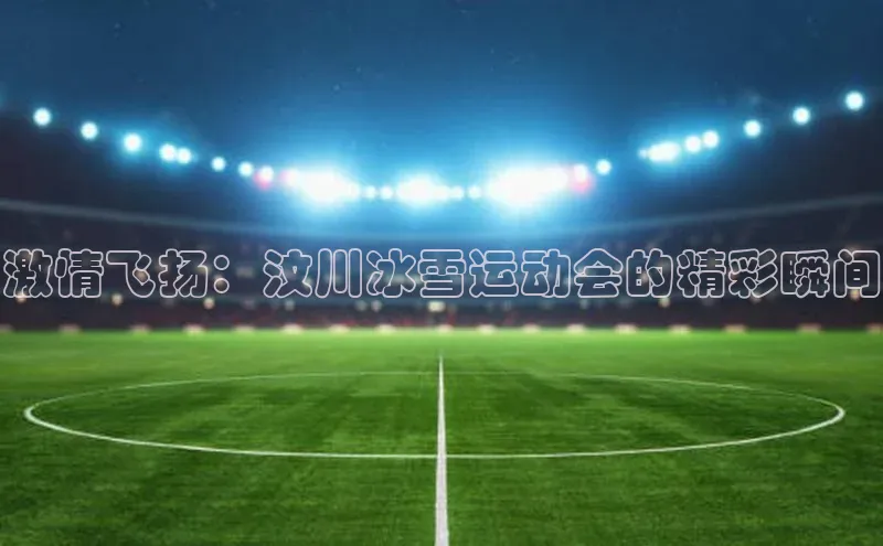 激情飞扬：汶川冰雪运动会的精彩瞬间